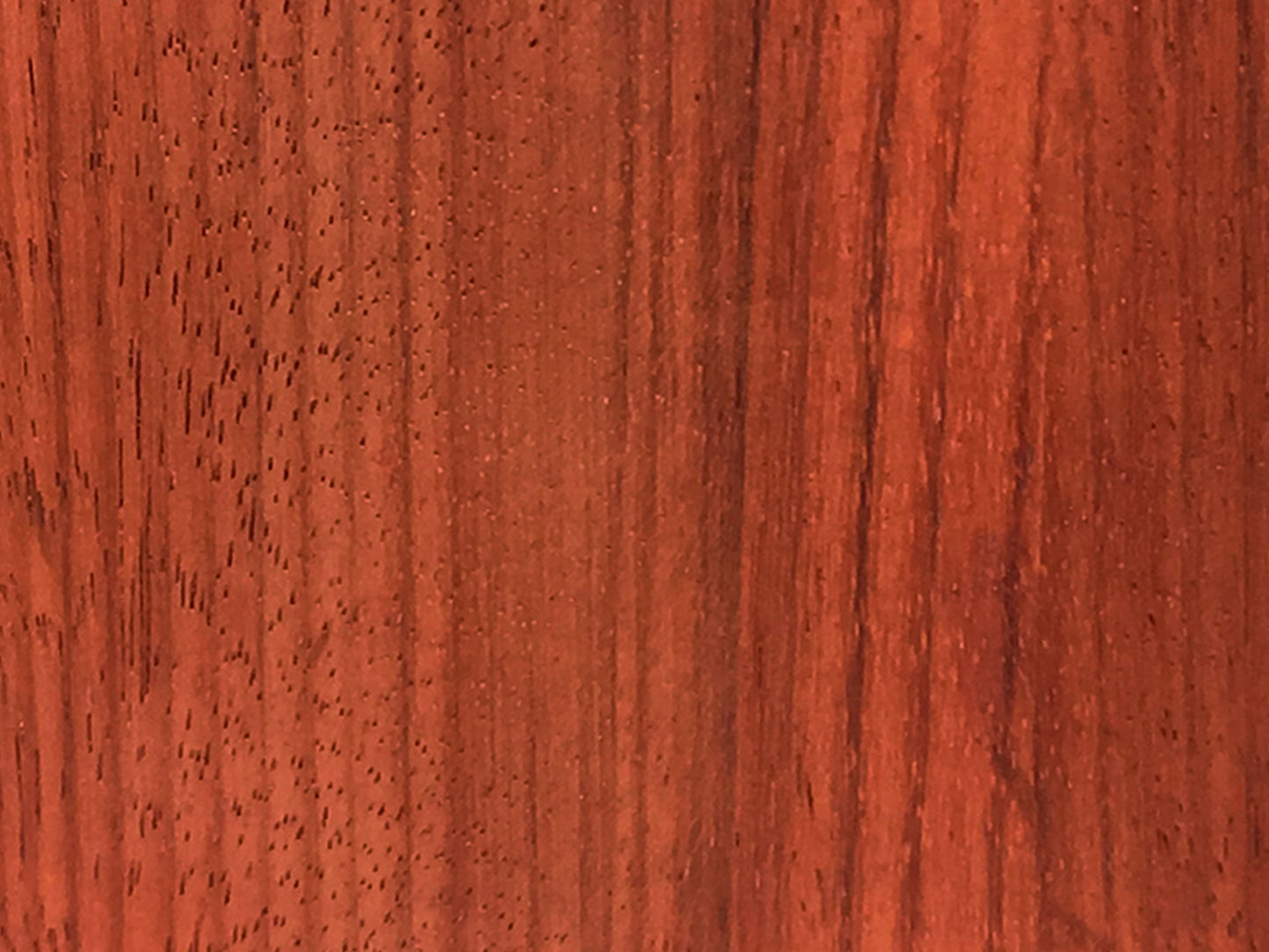 14" x 6" Snare-Kessel Padouk/Ahorn 6-Ply